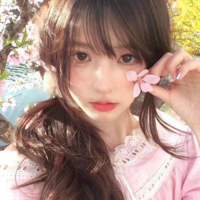 茶乡花正开